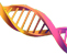 Synthesize Predicted Genes and cDNAs Synthesize Predicted Genes and cDNAs